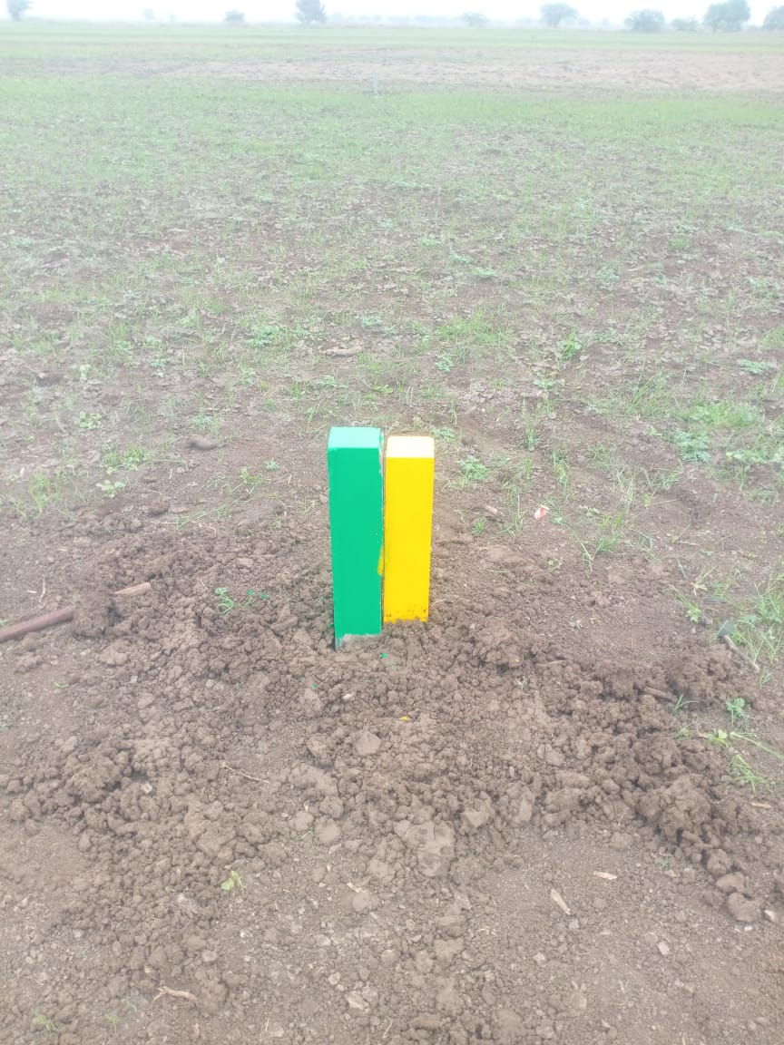 Sapling transplantation and multi-crop setups